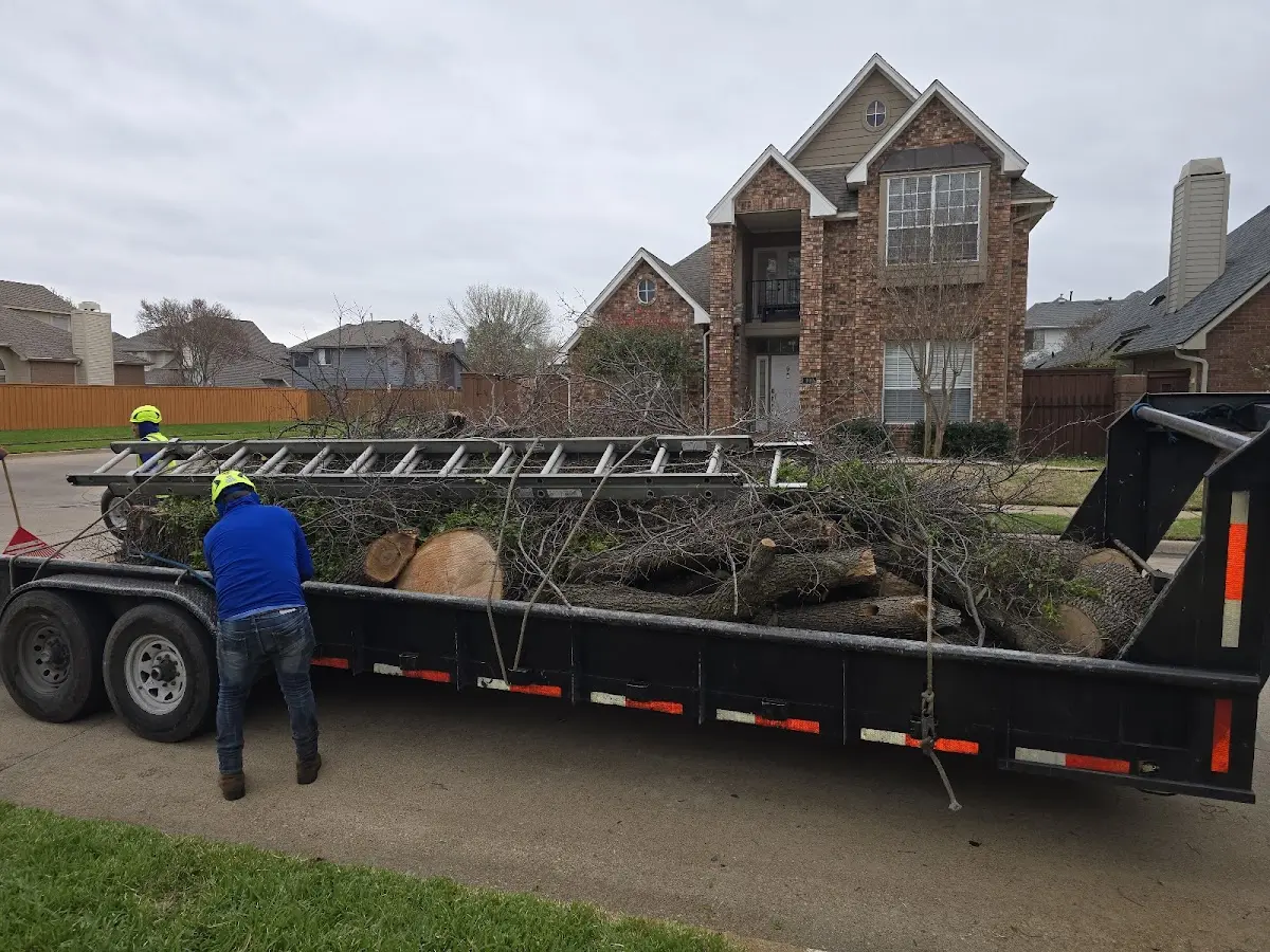 Expert Lot Clearing with proper safety equipment in Clay